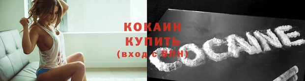 гидропоника Заводоуковск