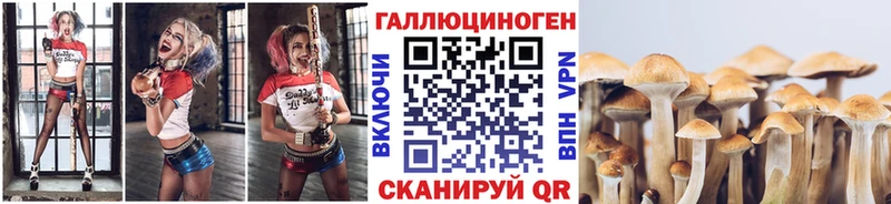 Купить где  Краснотурьинск  Псилоцибиновые грибы Psilocybine cubensis 